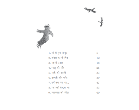 Pehli Udaan - E-book